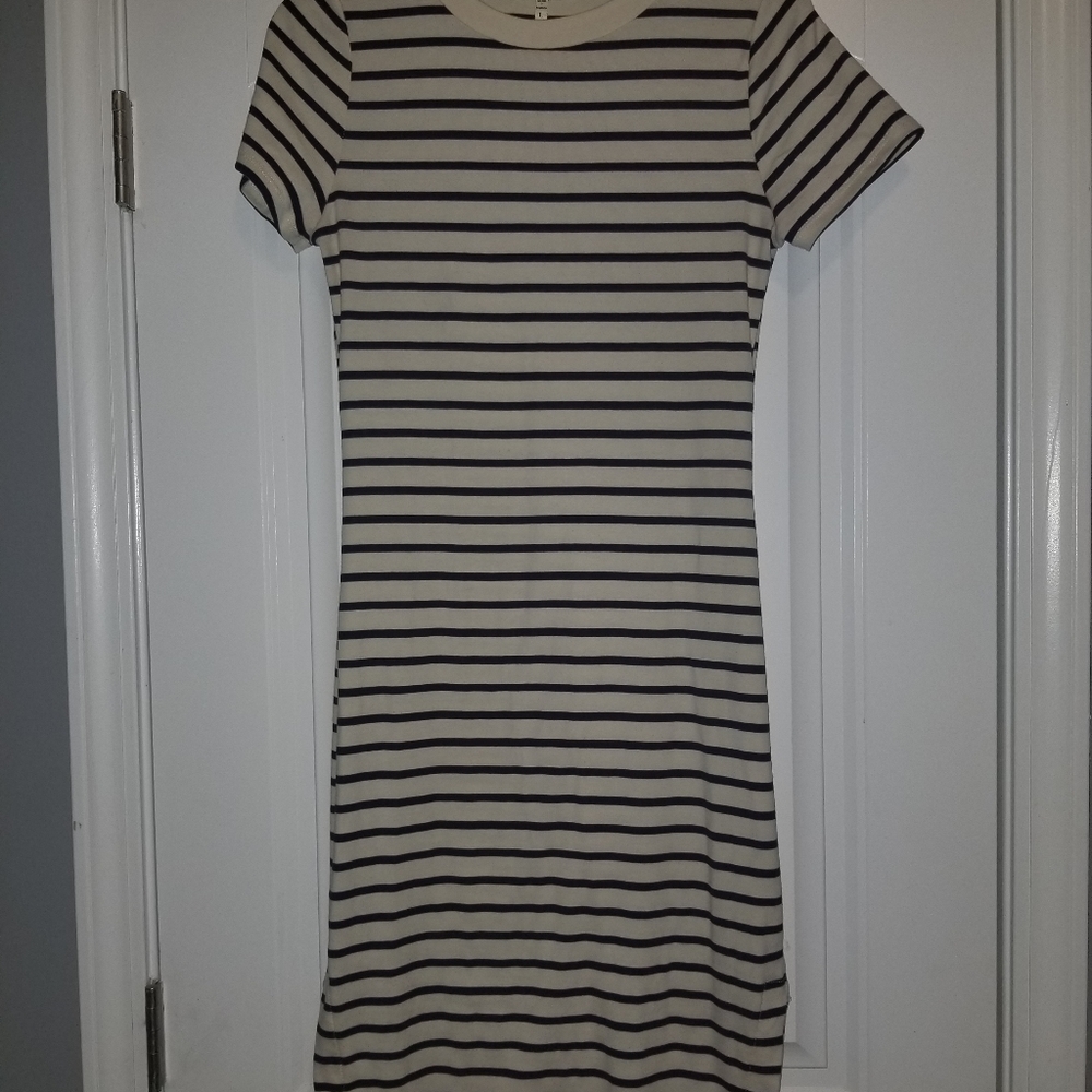 Fitted stripe dress